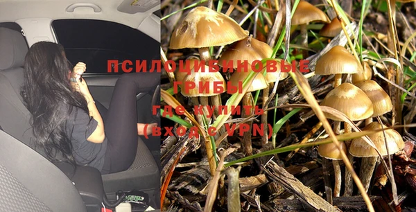 прущие крисы Остров