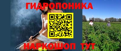 spice Гусь-Хрустальный