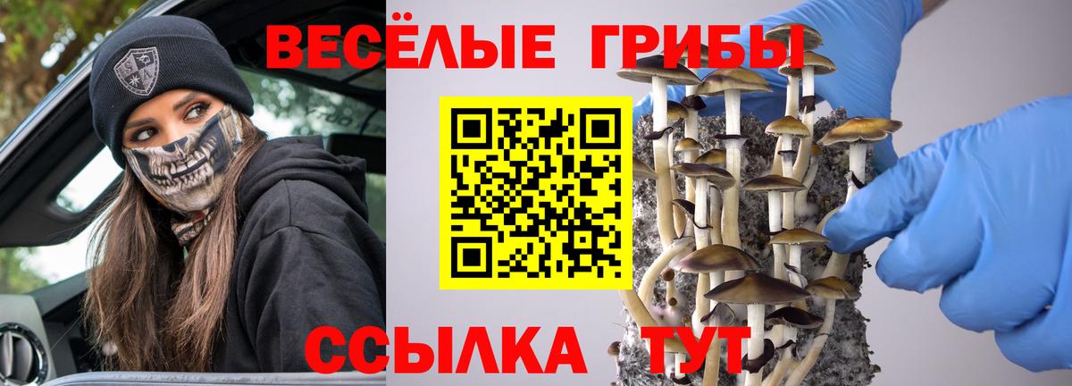 ТГК Краснознаменск