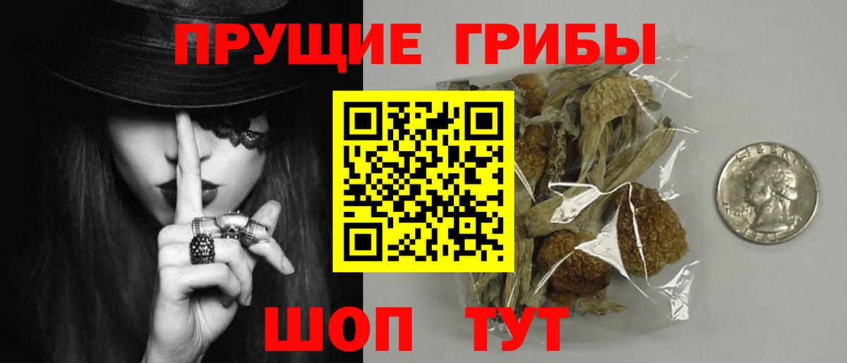 Галлюциногенные грибы Psilocybine cubensis  Галлюциногенные грибы ЛСД  Краснознаменск  дарнет шоп  Вход с VPN 
